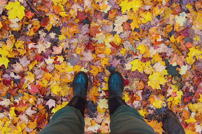 A shot of a woman's legs as she stands on fallen autumn foliage. The leaves are coloured red, yellow and orange.