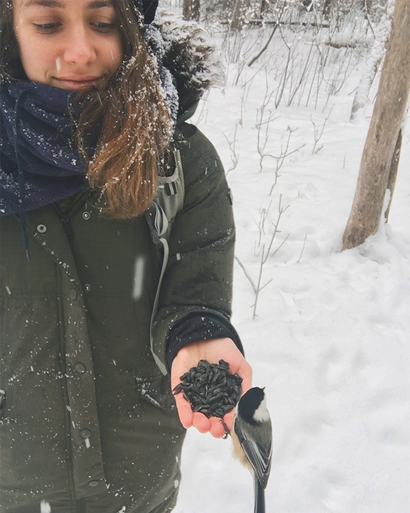 Jenna holds her hand out with sunflower seeds. There is a chickadee eating from her hand.