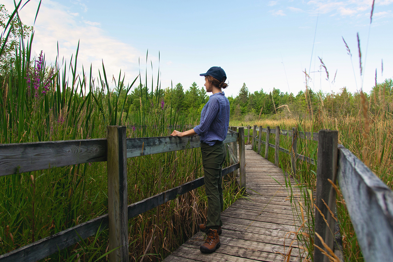 Woman stands on a boardwalk looking out over a marsh. The boardwalk is a great place to feed the chickadees. 