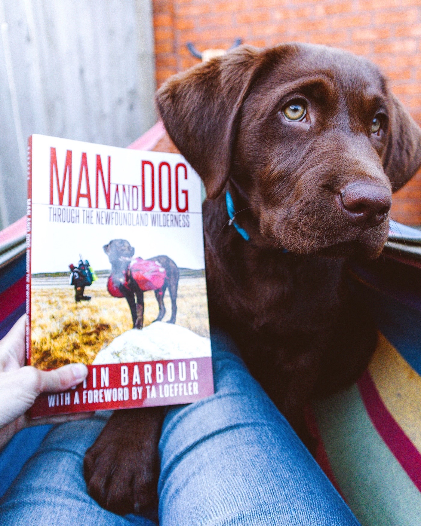 Woman and dog read Justin Barbour's Man and Dog: Through the Newfoundland Wilderness