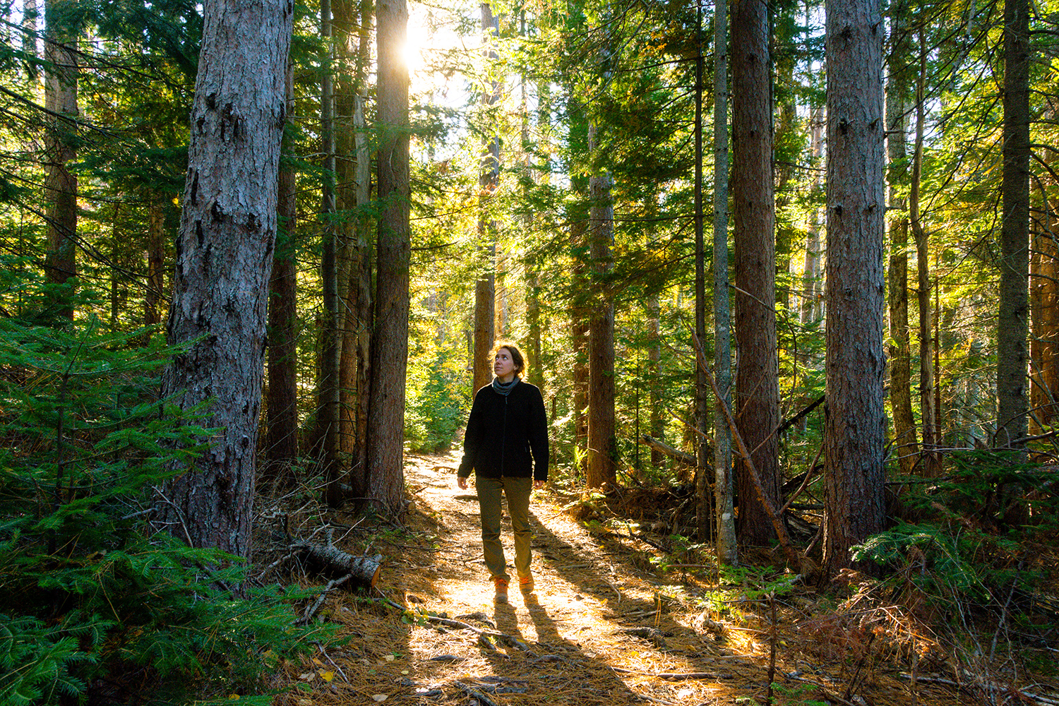 Woman walks through Kouchibouguac River Trail.