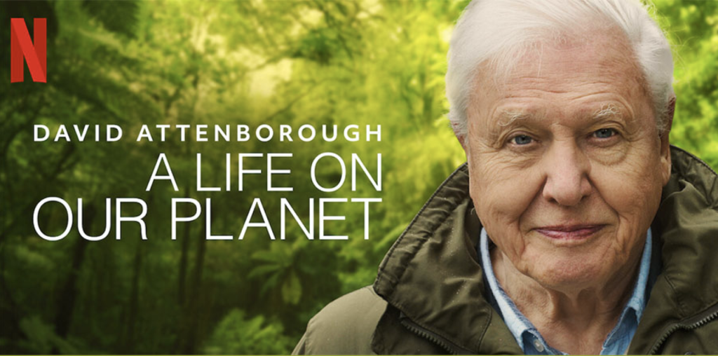 David Attenborough A Life On Our