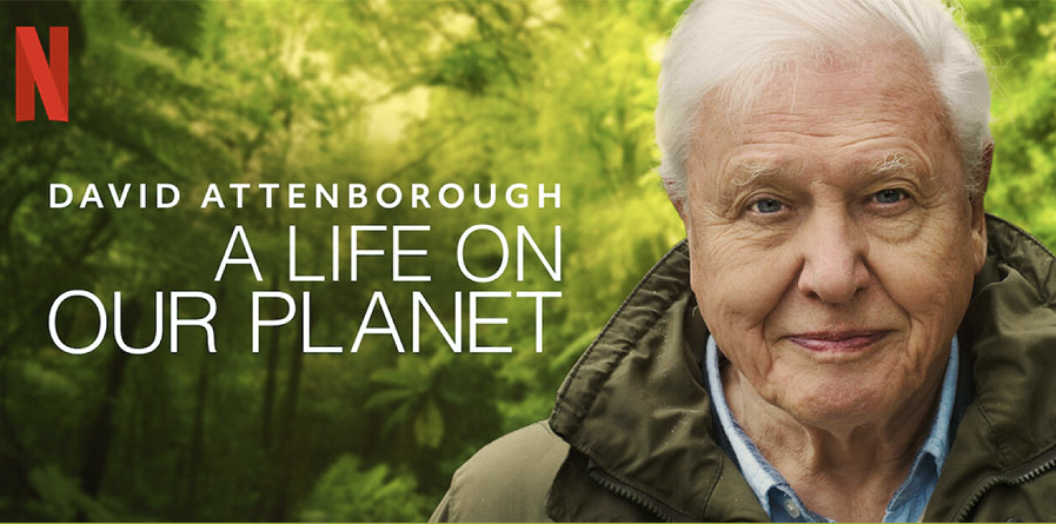 David Attenborough A Life On Our Planet Woodland Woman