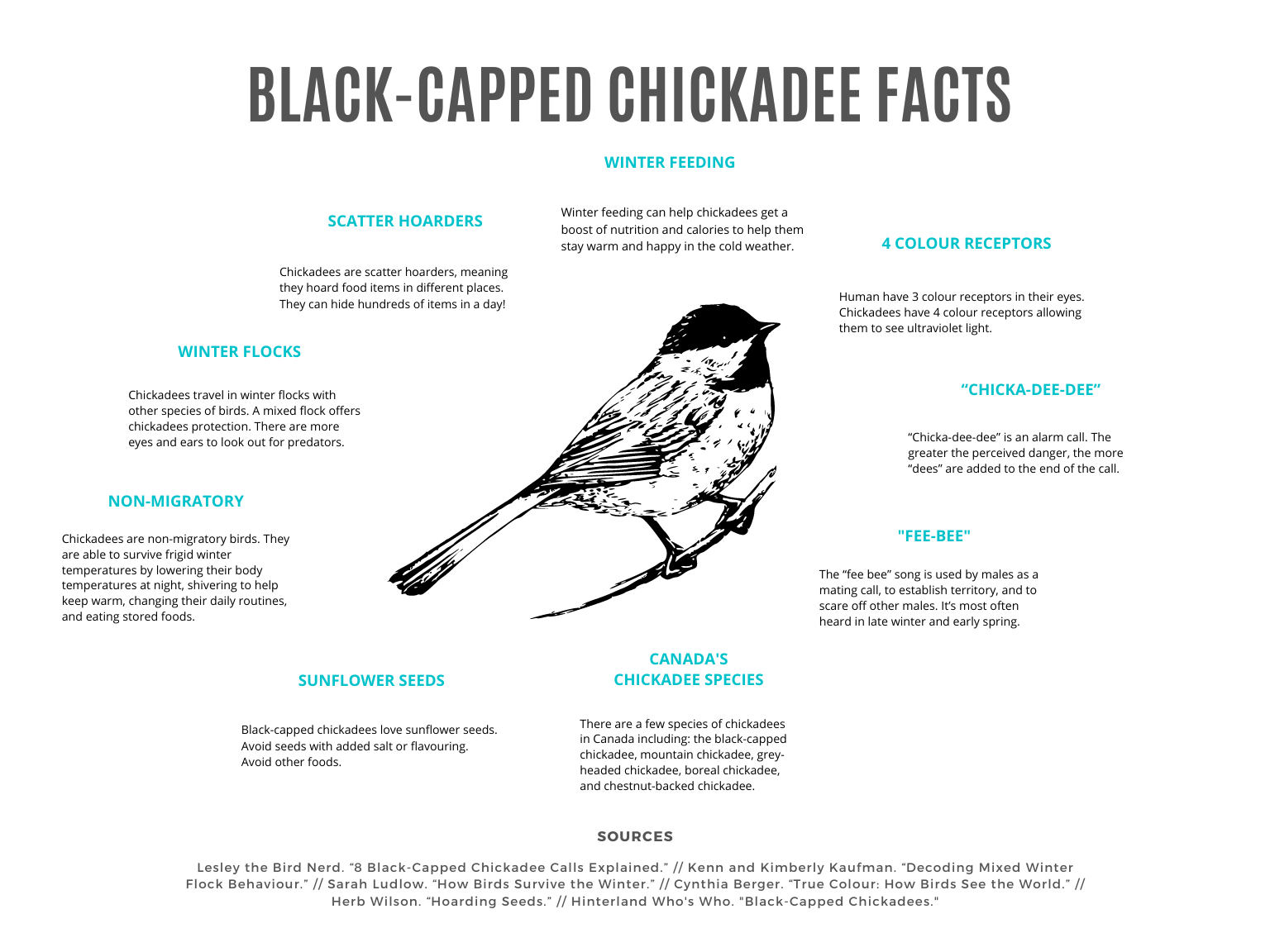 Black-capped chickadee facts summarizing the information on this page. 