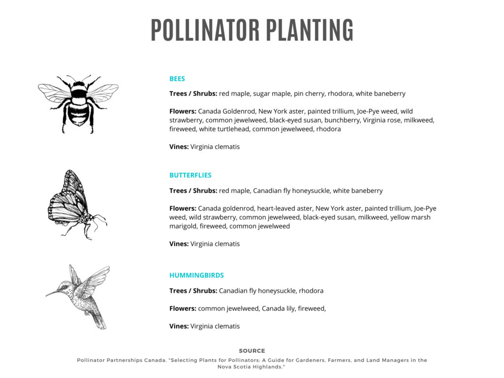 11 Ways To Help Native Pollinators