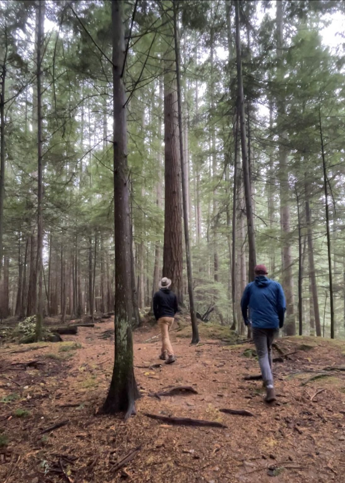 Explore the Sunshine Coast, British Columbia