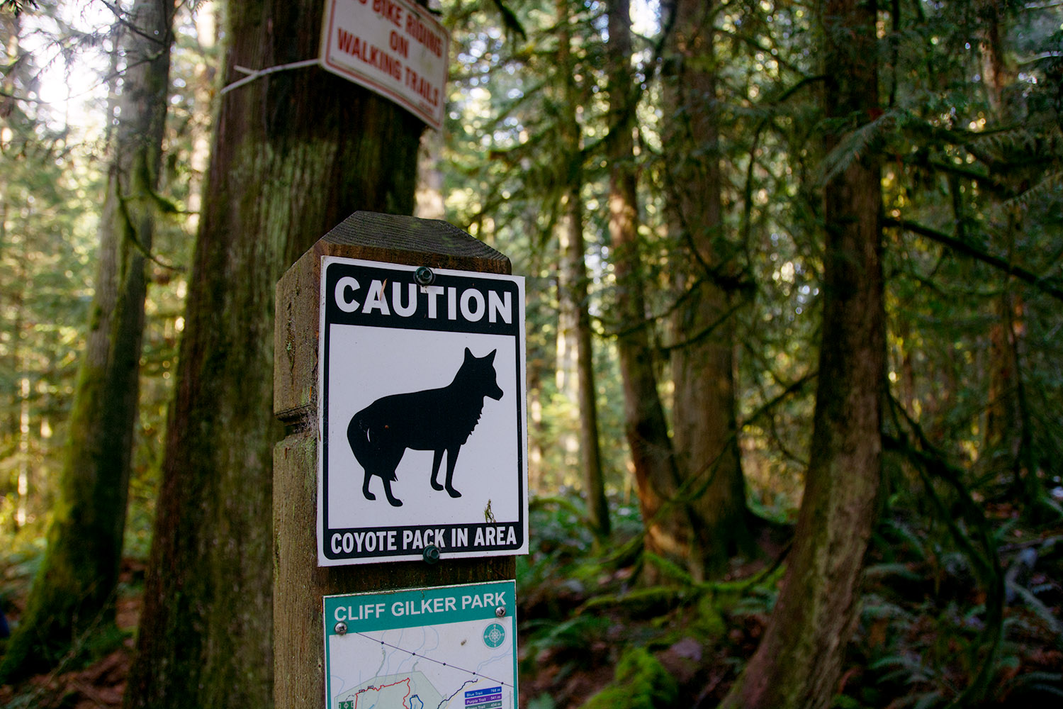 Solo hiking in British Columbia. Picture of a beware of coyotes sign.
