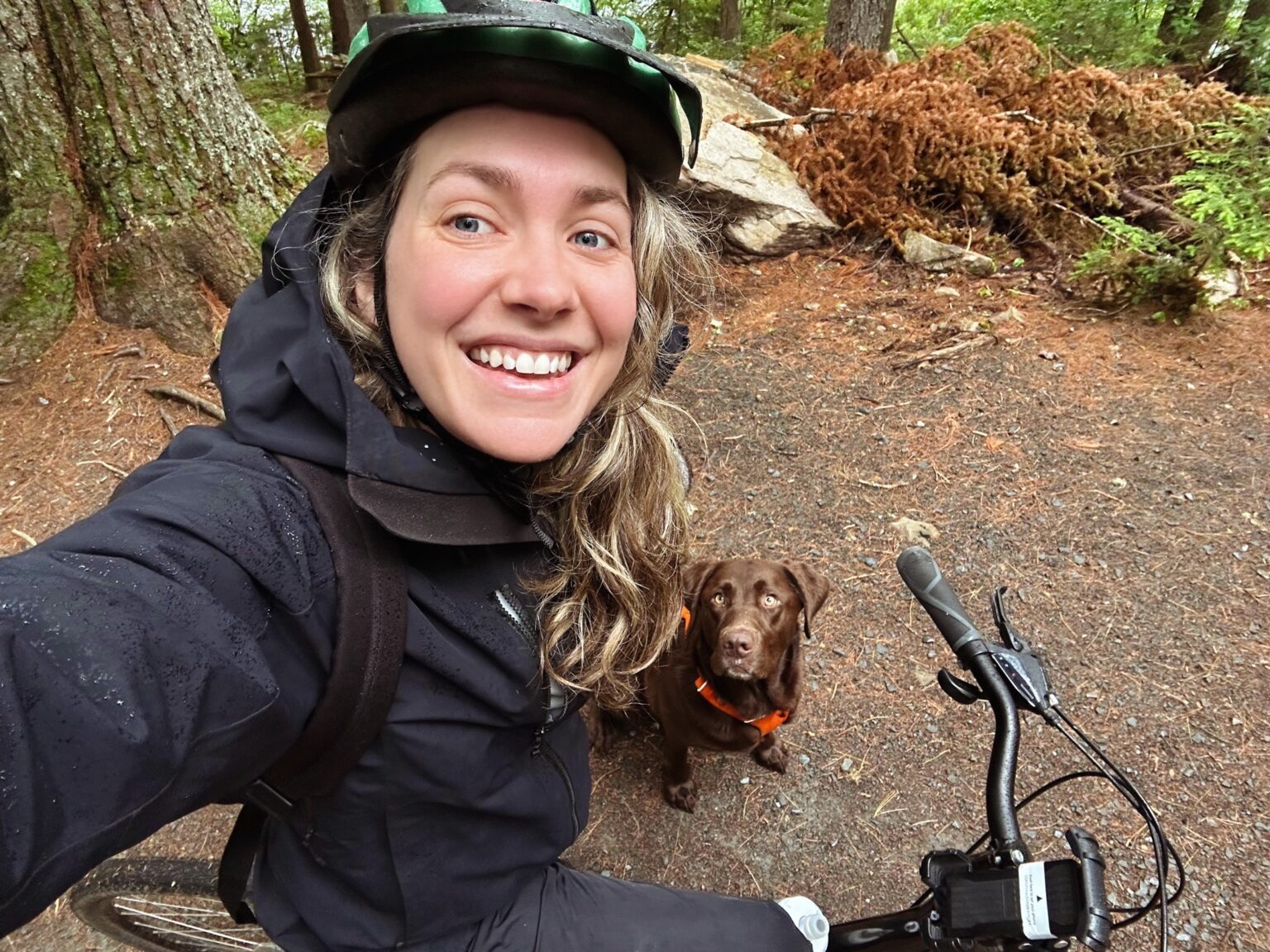 A Beginner s Guide To Biking With Your Dog bell-peppers-for-dogs-top-sellers-cityofclovis