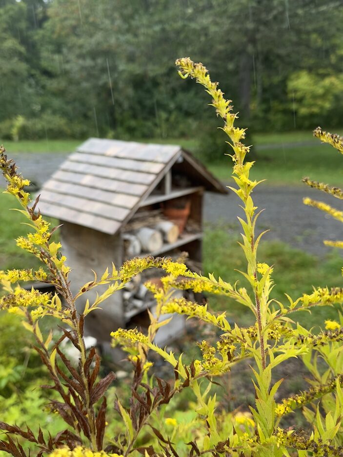 Insect hotel at Fredericton Botanic Garden