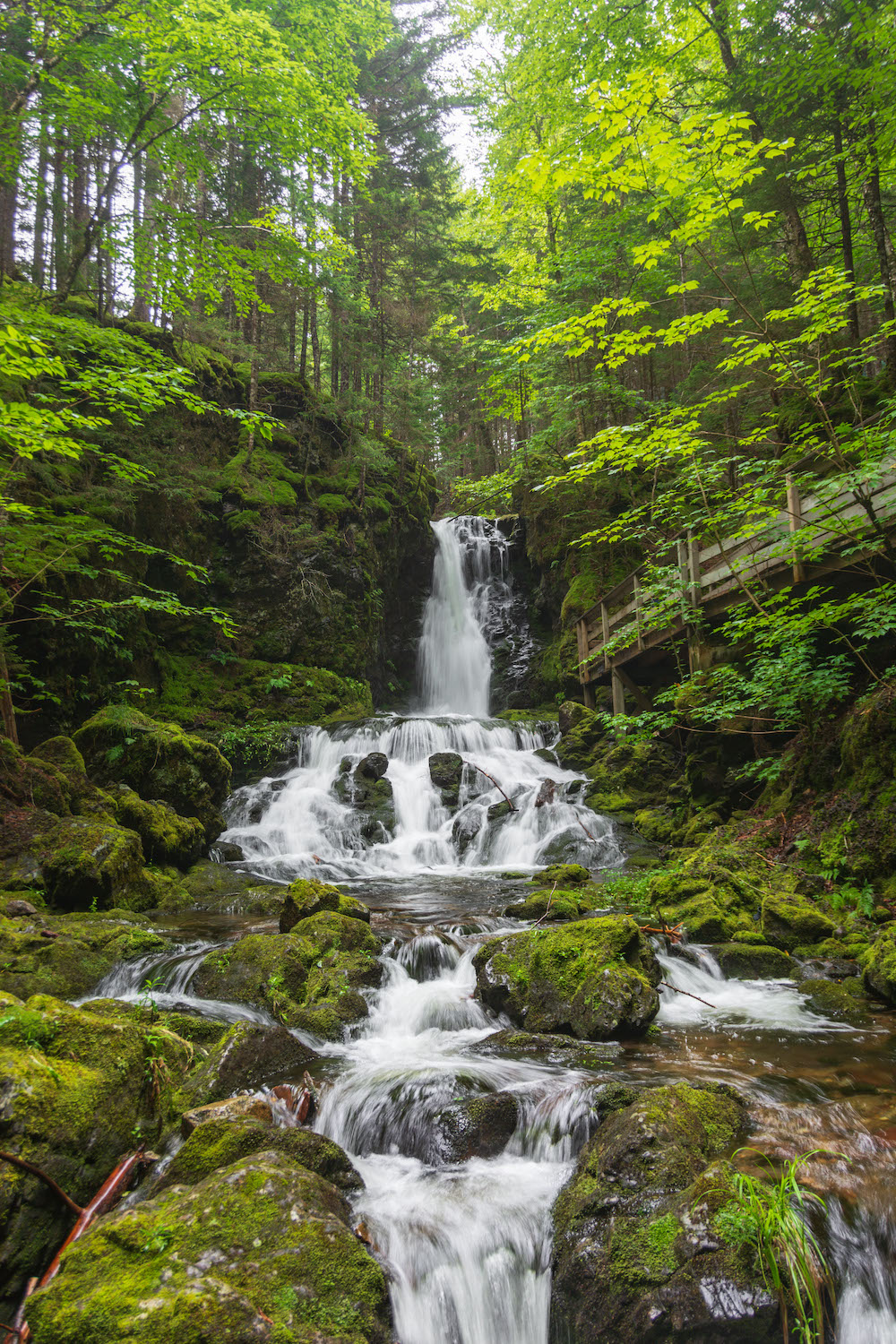 Dickson Falls in Fundy National Park