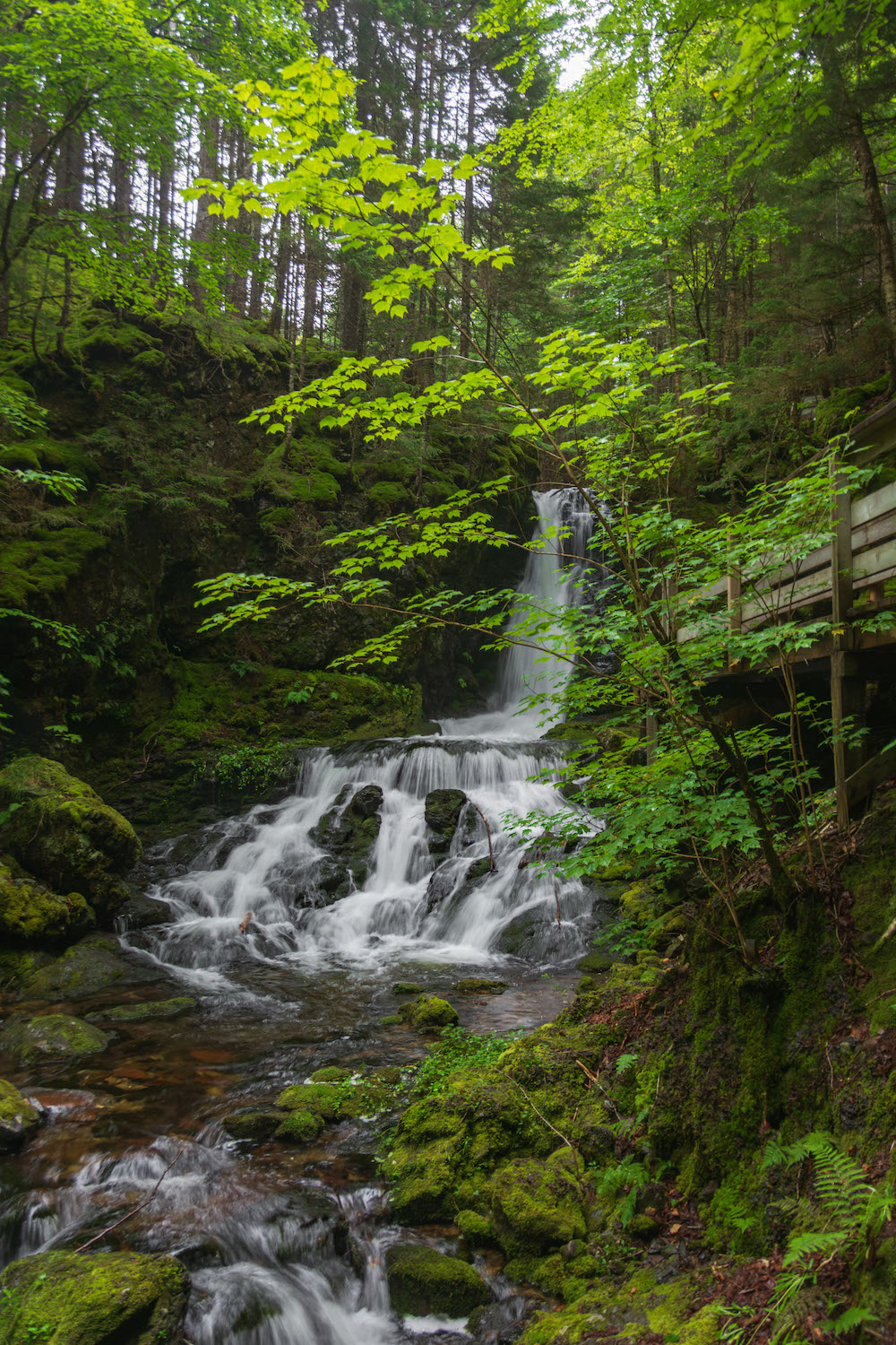 Dickson Falls in Fundy National Park