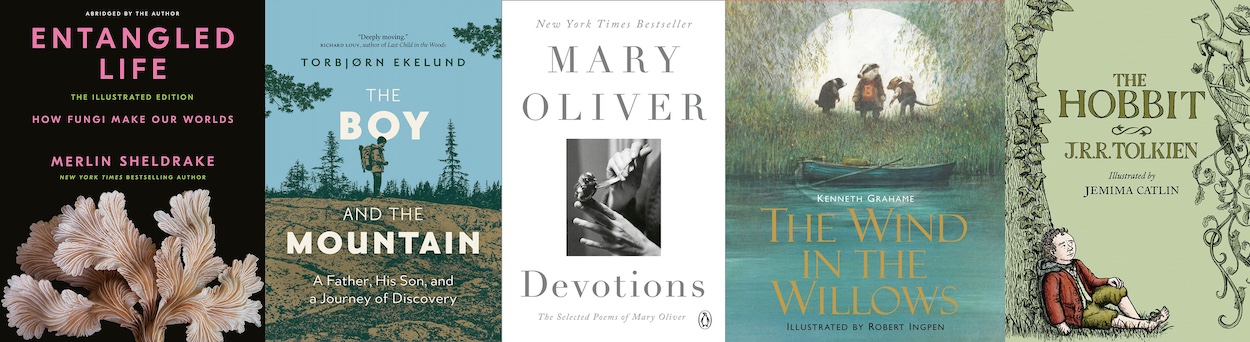 Nature-inspired books for fall reading!